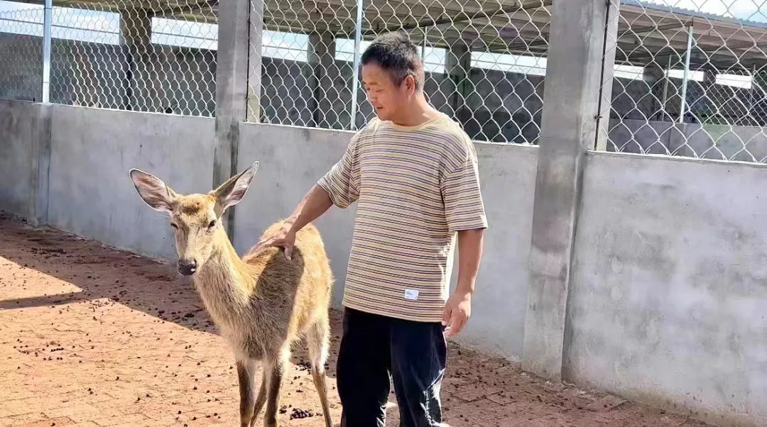 金皇冠3打码