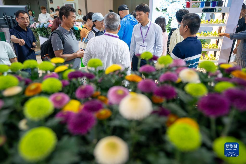 新宝Ⅲ测速登录
